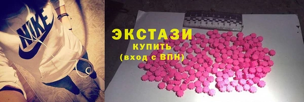 крисы Богородицк