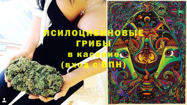 скорость Богданович