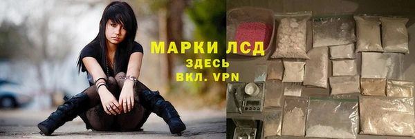 spice Сураж