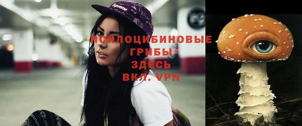 крисы Богородицк