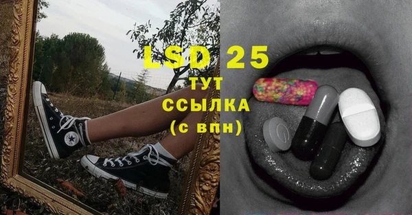 крисы Богородицк