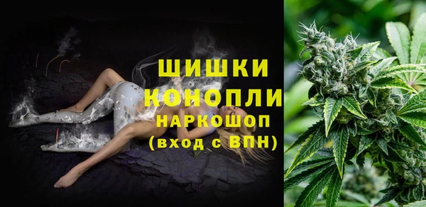 скорость Богданович