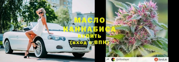 крисы Богородицк