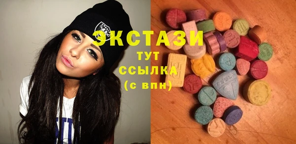 крисы Богородицк